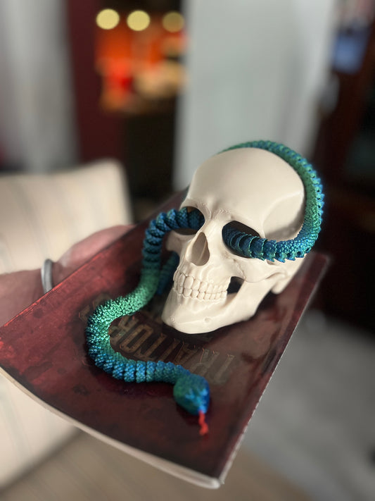 Articulated Skull with Snake